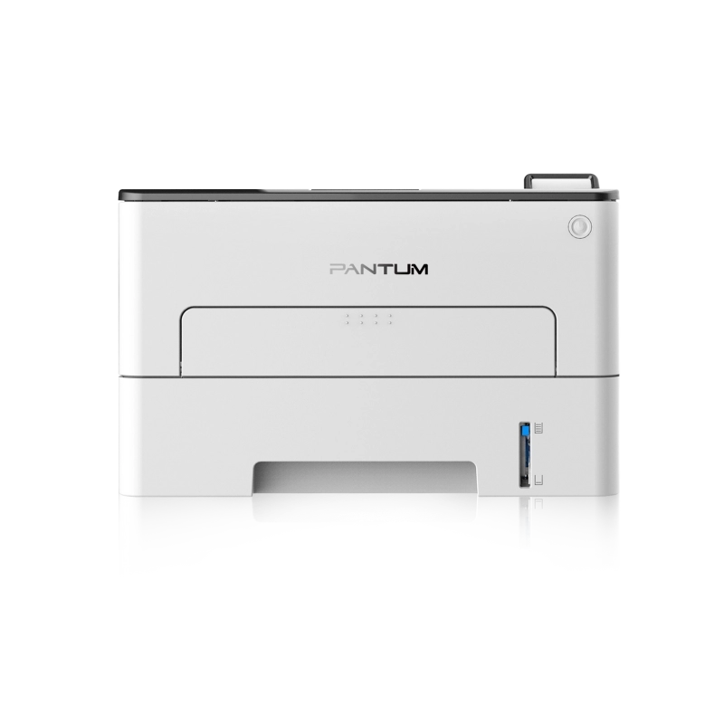 P3010DW-1